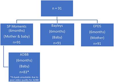 Maternal Shared Pleasure, Infant Withdrawal, and Developmental Outcomes in a High Risk Setting in South Africa